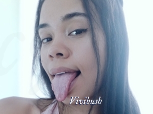 Vivibush