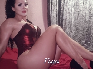 vixsen Cam 5