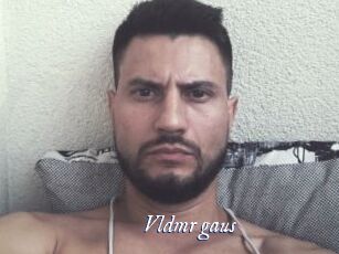 Vldmr_gaus