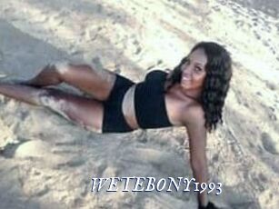 WETEBONY1993
