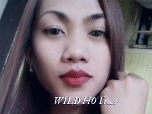 WILD_HOTrose