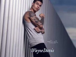 WayneDavis