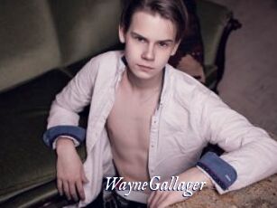 WayneGallager