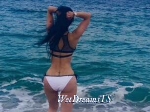 WetDreamsTS