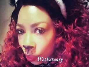 WetEstuary