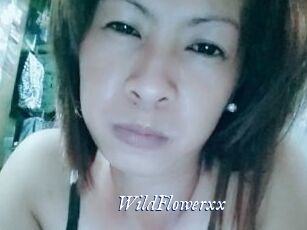 WildFlowerxx