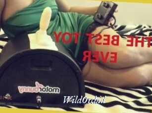 WildOrchid_