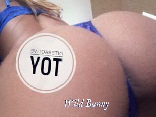 Wild_Bunny_