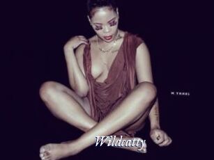 Wildcatty