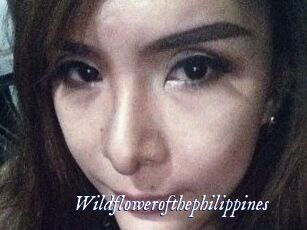 Wildflowerofthephilippines