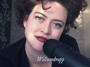 Willowdropp
