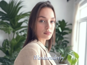 Wandaenderby