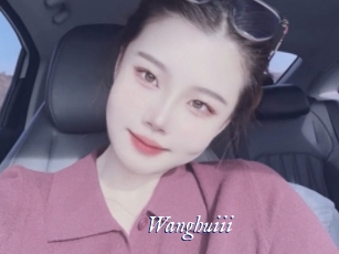 Wanghuiii