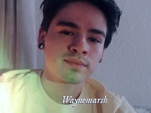 Waynemarsh