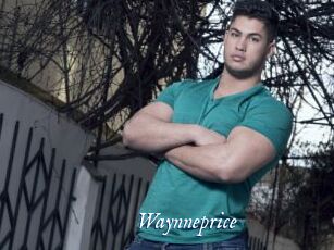 Waynneprice