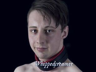 Whippedcreamer