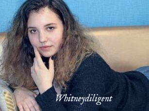 Whitneydiligent