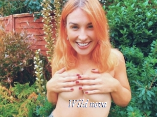 Wild_nova