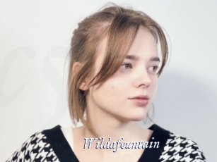 Wildafountain