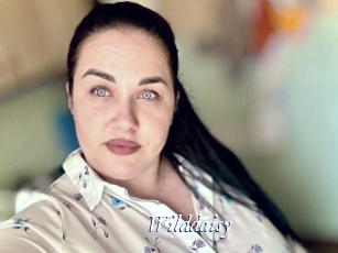 Wilddaisy