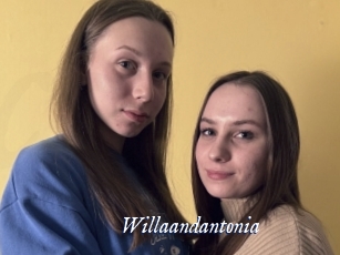 Willaandantonia