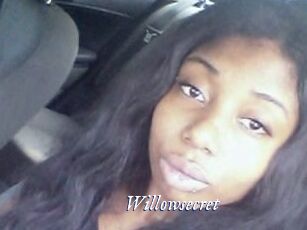 Willow_secret