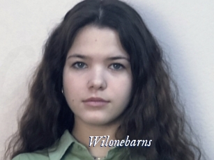 Wilonebarns