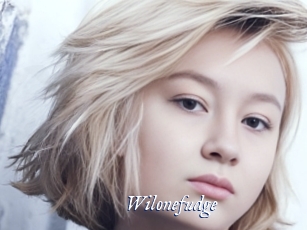 Wilonefudge