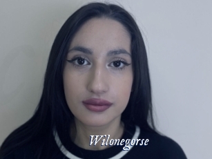 Wilonegorse