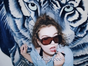 Windy2000