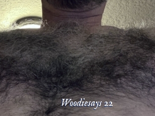 woodiesays_22 Cam 5
