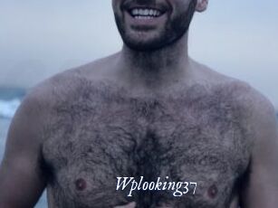 Wplooking37