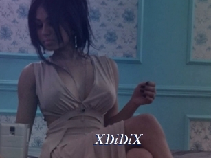 XDiDiX