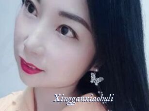 Xingganxiaohuli