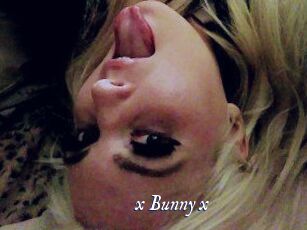 _x_Bunny_x_