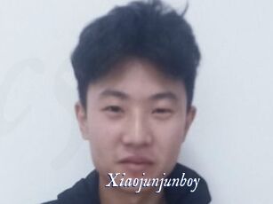 Xiaojunjunboy