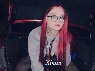 xinsea Cam 5