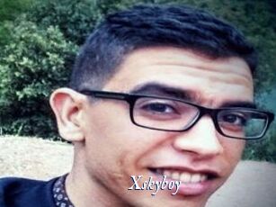 Xskyboy