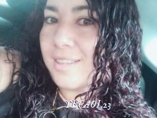 YECAOL23
