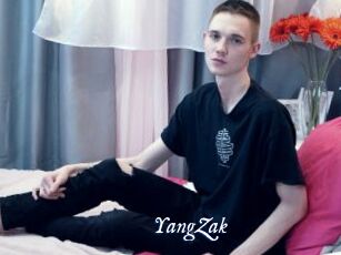 YangZak