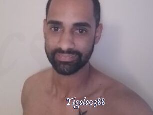 Yigolo0388