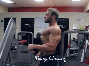 YoungSchwarz