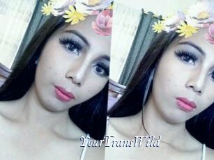 YourTransWild