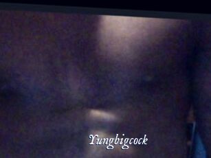 Yungbigcock