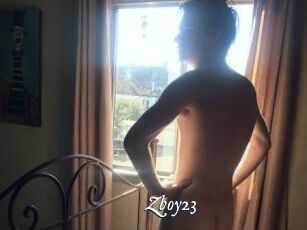 Zboy23