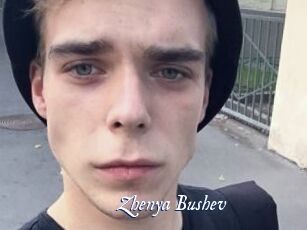 Zhenya_Bushev