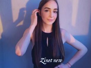 Zinet_new Cam 5