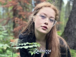 Zadnizza