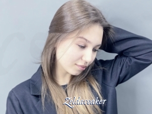 Zeldacoaker