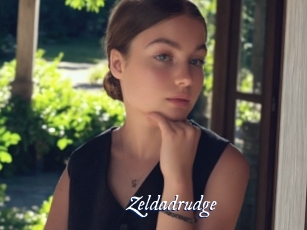 Zeldadrudge